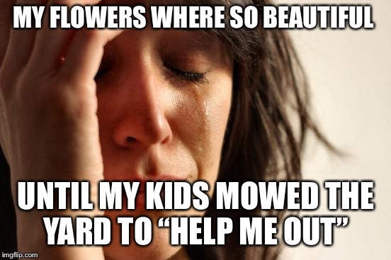 The flowerless bouquet  | MY FLOWERS WHERE SO BEAUTIFUL; UNTIL MY KIDS MOWED THE YARD TO “HELP ME OUT” | image tagged in memes,first world problems,yard work,flowers,kids fail,the moment you realize | made w/ Imgflip meme maker