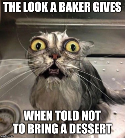 Astonished Wet Cat | THE LOOK A BAKER GIVES; WHEN TOLD NOT TO BRING A DESSERT | image tagged in astonished wet cat | made w/ Imgflip meme maker