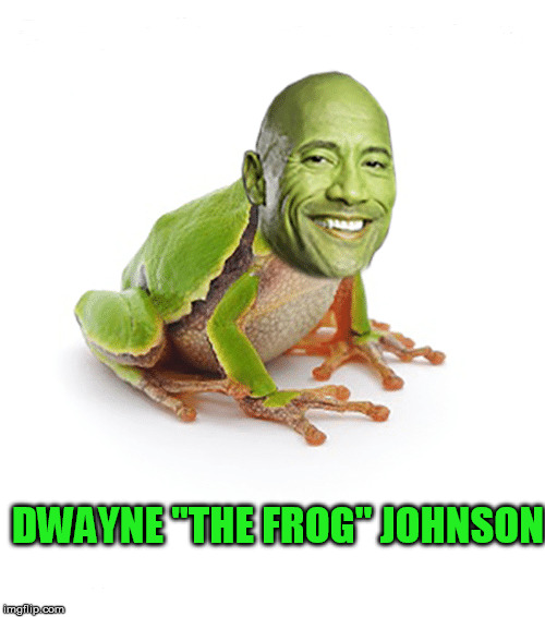 The Frog | DWAYNE "THE FROG" JOHNSON | image tagged in frog week,dwayne johnson | made w/ Imgflip meme maker