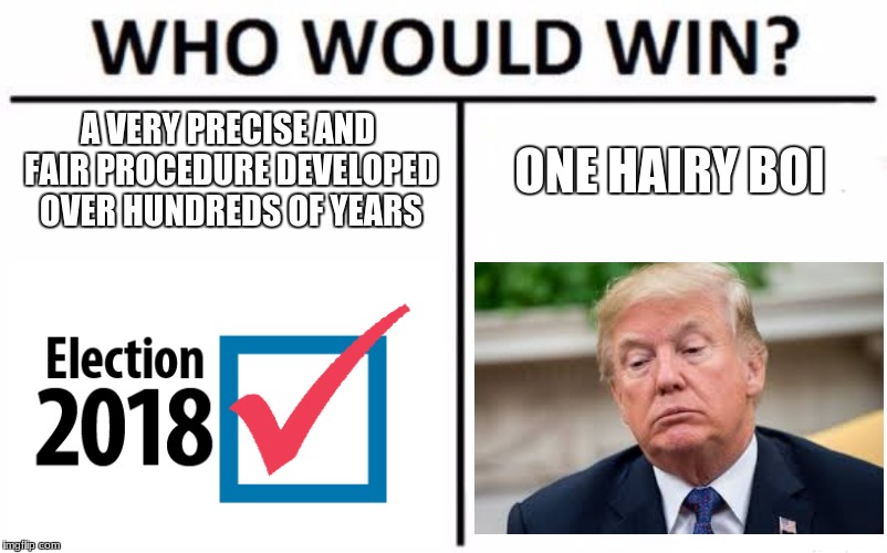 Who Would Win? | A VERY PRECISE AND FAIR PROCEDURE DEVELOPED OVER HUNDREDS OF YEARS; ONE HAIRY BOI | image tagged in memes,who would win | made w/ Imgflip meme maker