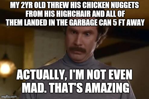 actually im not even mad | MY 2YR OLD THREW HIS CHICKEN NUGGETS FROM HIS HIGHCHAIR AND ALL OF THEM LANDED IN THE GARBAGE CAN 5 FT AWAY; ACTUALLY, I'M NOT EVEN MAD. THAT'S AMAZING | image tagged in actually im not even mad | made w/ Imgflip meme maker