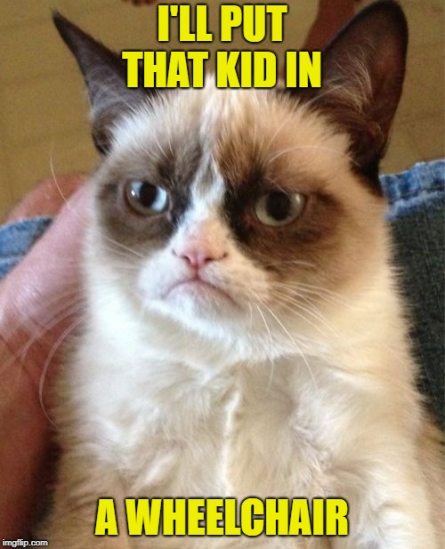 Grumpy Cat Meme | I'LL PUT THAT KID IN A WHEELCHAIR | image tagged in memes,grumpy cat | made w/ Imgflip meme maker