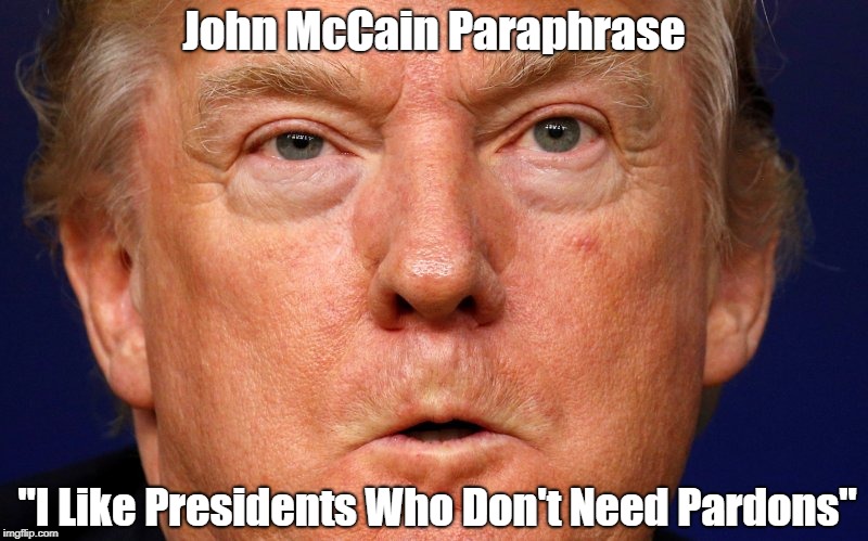 "John McCain Likes Presidents Who Don't..." | John McCain Paraphrase "I Like Presidents Who Don't Need Pardons" | image tagged in john mccain,war hero,deplorable donald,despicable donald,devious donald,dishonorable donald | made w/ Imgflip meme maker
