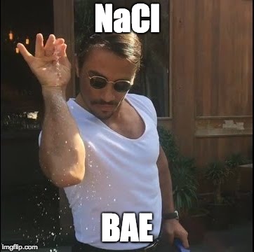 salt bae | NaCl; BAE | image tagged in salt bae | made w/ Imgflip meme maker