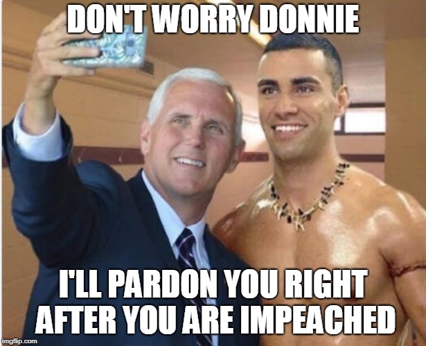 Don't worry Donnie | DON'T WORRY DONNIE; I'LL PARDON YOU RIGHT AFTER YOU ARE IMPEACHED | image tagged in mike pence,political,impeach,trump | made w/ Imgflip meme maker