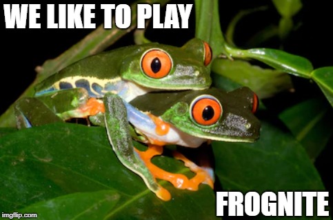 Don't Hate the Player | WE LIKE TO PLAY; FROGNITE | image tagged in memes | made w/ Imgflip meme maker