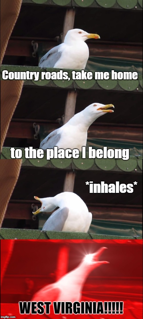 Mountain mama, take me home country roads. | Country roads, take me home to the place I belong *inhales* WEST VIRGINIA!!!!! | image tagged in memes,inhaling seagull | made w/ Imgflip meme maker