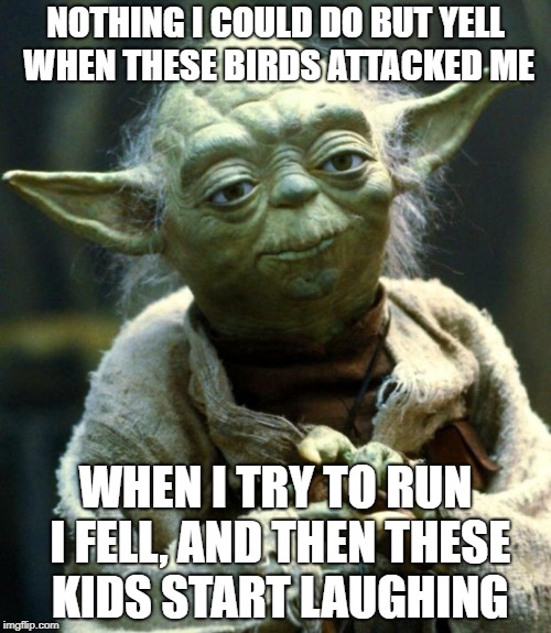 Star Wars Yoda Meme | NOTHING I COULD DO BUT YELL WHEN THESE BIRDS ATTACKED ME; WHEN I TRY TO RUN I FELL, AND THEN THESE KIDS START LAUGHING | image tagged in memes,star wars yoda | made w/ Imgflip meme maker