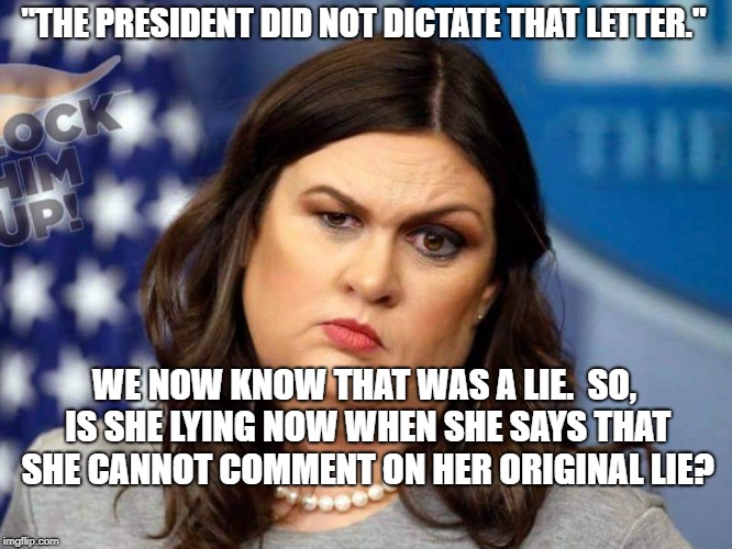 Sarah Sanders  | "THE PRESIDENT DID NOT DICTATE THAT LETTER."; WE NOW KNOW THAT WAS A LIE.  SO, IS SHE LYING NOW WHEN SHE SAYS THAT SHE CANNOT COMMENT ON HER ORIGINAL LIE? | image tagged in sarah sanders | made w/ Imgflip meme maker