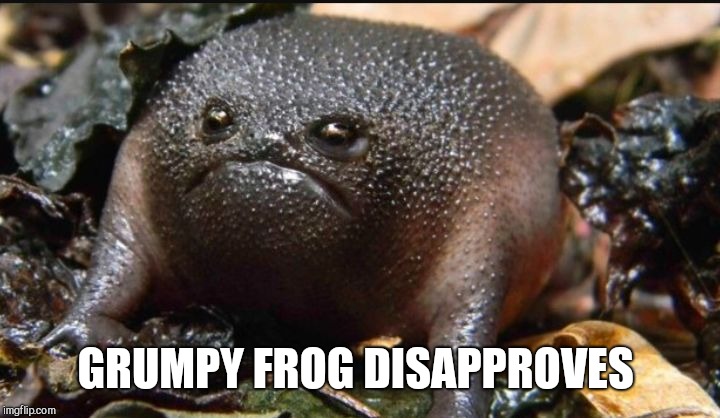 Grumpy Frog | GRUMPY FROG DISAPPROVES | image tagged in grumpy frog | made w/ Imgflip meme maker