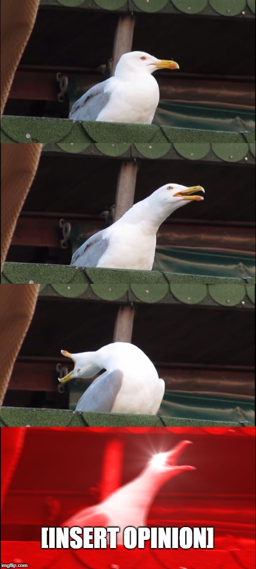 Inhaling Seagull | [INSERT OPINION] | image tagged in memes,inhaling seagull | made w/ Imgflip meme maker