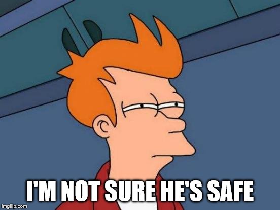 Futurama Fry Meme | I'M NOT SURE HE'S SAFE | image tagged in memes,futurama fry | made w/ Imgflip meme maker