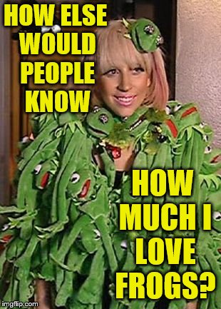 HOW ELSE WOULD PEOPLE KNOW HOW MUCH I LOVE FROGS? | made w/ Imgflip meme maker