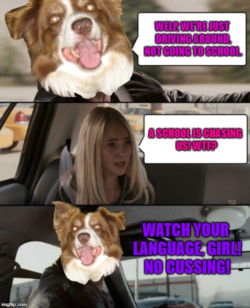 The Rock Driving Meme | WELP, WE'RE JUST DRIVING AROUND, NOT GOING TO SCHOOL. A SCHOOL IS CHASING US! WTF? WATCH YOUR LANGUAGE, GIRL! NO CUSSING! | image tagged in memes,the rock driving | made w/ Imgflip meme maker