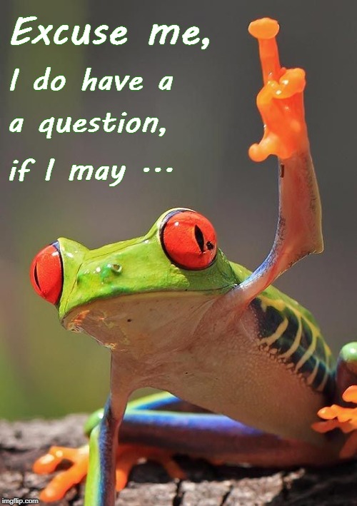 Excuse Me... | Excuse me, I do have a; a question, if I may ... | image tagged in raising hand,question | made w/ Imgflip meme maker