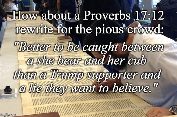 Proverbial Wisdom | How about a Proverbs 17:12 rewrite for the pious crowd:; "Better to be caught between a she bear and her cub; than a Trump supporter and a lie they want to believe." | image tagged in political | made w/ Imgflip meme maker