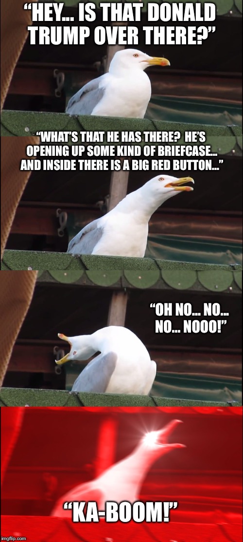 Inhaling Seagull Meme | “HEY... IS THAT DONALD TRUMP OVER THERE?”; “WHAT’S THAT HE HAS THERE?  HE’S OPENING UP SOME KIND OF BRIEFCASE... AND INSIDE THERE IS A BIG RED BUTTON...”; “OH NO... NO... NO... NOOO!”; “KA-BOOM!” | image tagged in memes,inhaling seagull | made w/ Imgflip meme maker