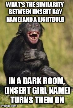 A Middle School Joke For Ya | WHAT'S THE SIMILARITY BETWEEN [INSERT BOY NAME] AND A LIGHTBULB; IN A DARK ROOM, [INSERT GIRL NAME] TURNS THEM ON | image tagged in laughing monkey,middle school,boy,girl,lightbulb,turn | made w/ Imgflip meme maker