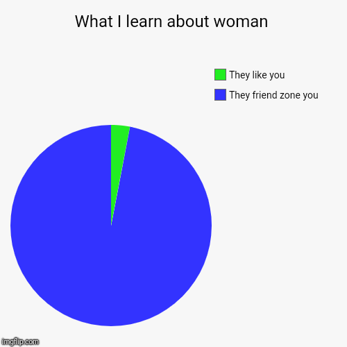 What I learn about woman | They friend zone you , They like you | image tagged in funny,pie charts | made w/ Imgflip chart maker
