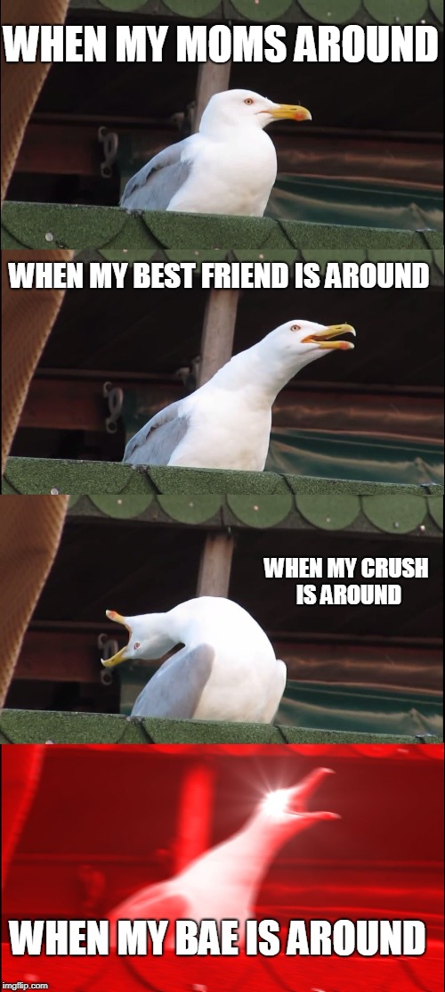 Inhaling Seagull Meme | WHEN MY MOMS AROUND; WHEN MY BEST FRIEND IS AROUND; WHEN MY CRUSH IS AROUND; WHEN MY BAE IS AROUND | image tagged in memes,inhaling seagull | made w/ Imgflip meme maker