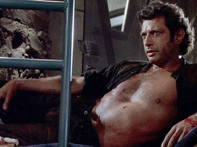 High Quality Sexy Jeff Goldblum Blank Meme Template