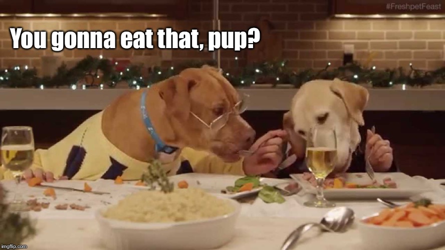 Before Dogs Playing Polker there was Dogs at Dinner.  Famous Meals: a DrSarcasm event | You gonna eat that, pup? | image tagged in dog dinner,you gonna eat that,dogs,hands,funny memes,famous dinners | made w/ Imgflip meme maker