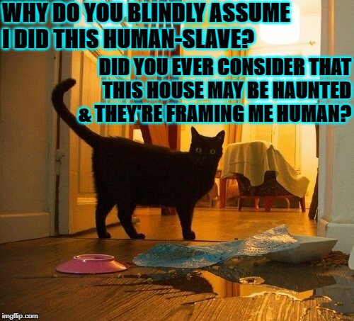 i didn't do it | WHY DO YOU BLINDLY ASSUME I DID THIS HUMAN-SLAVE? DID YOU EVER CONSIDER THAT THIS HOUSE MAY BE HAUNTED & THEY'RE FRAMING ME HUMAN? | image tagged in i didn't do it | made w/ Imgflip meme maker