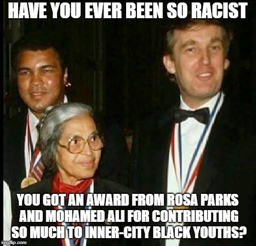 HAVE YOU EVER BEEN SO RACIST; YOU GOT AN AWARD FROM ROSA PARKS AND MOHAMED ALI FOR CONTRIBUTING SO MUCH TO INNER-CITY BLACK YOUTHS? | image tagged in memes,political meme,donald trump,not racist,rosa parks,mohammed | made w/ Imgflip meme maker