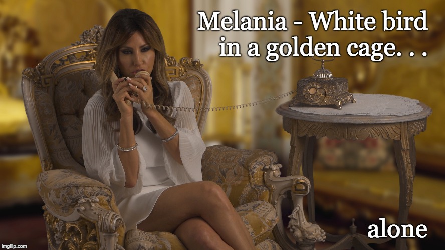 Melania - White bird in a golden cage . . .  alone | Melania - White bird in a golden cage. . . alone | image tagged in melania,white bird,golden cage,alone,sad | made w/ Imgflip meme maker