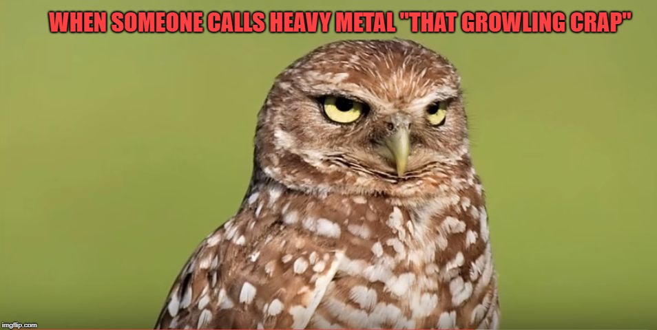 Death Stare Owl | WHEN SOMEONE CALLS HEAVY METAL "THAT GROWLING CRAP" | image tagged in death stare owl,memes,doctordoomsday180,heavy metal,music,metal | made w/ Imgflip meme maker