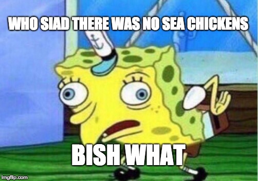 Mocking Spongebob | WHO SIAD THERE WAS NO SEA CHICKENS; BISH WHAT | image tagged in memes,mocking spongebob | made w/ Imgflip meme maker