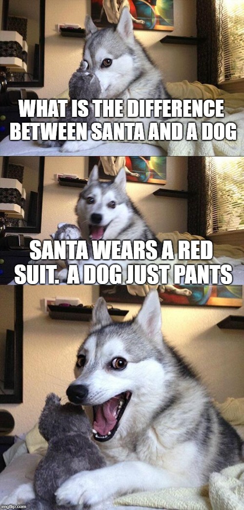 Bad Pun Dog Meme | WHAT IS THE DIFFERENCE BETWEEN SANTA AND A DOG; SANTA WEARS A RED SUIT.  A DOG JUST PANTS | image tagged in memes,bad pun dog | made w/ Imgflip meme maker