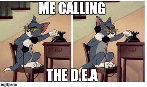 Tom On Phone | ME CALLING; THE D.E.A | image tagged in tom on phone | made w/ Imgflip meme maker