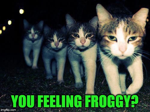 YOU FEELING FROGGY? | made w/ Imgflip meme maker