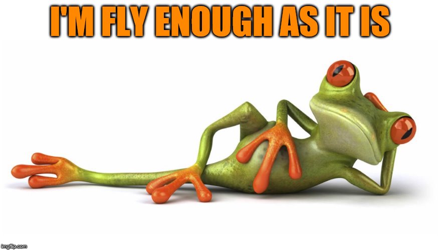I'M FLY ENOUGH AS IT IS | made w/ Imgflip meme maker