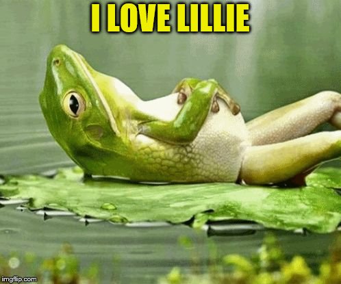 I LOVE LILLIE | made w/ Imgflip meme maker