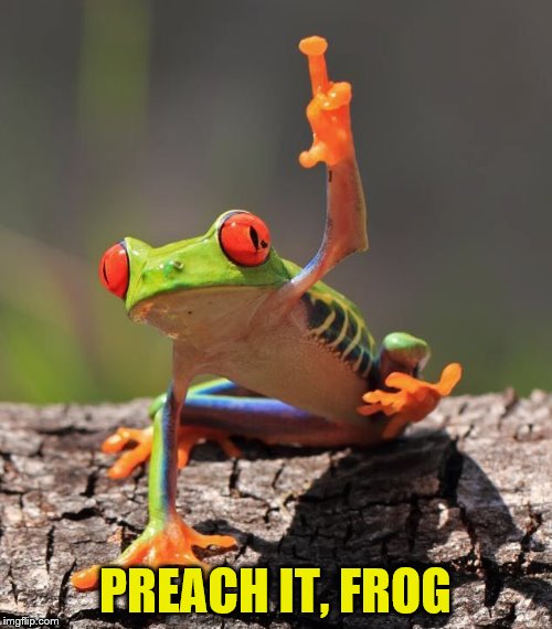 PREACH IT, FROG | made w/ Imgflip meme maker