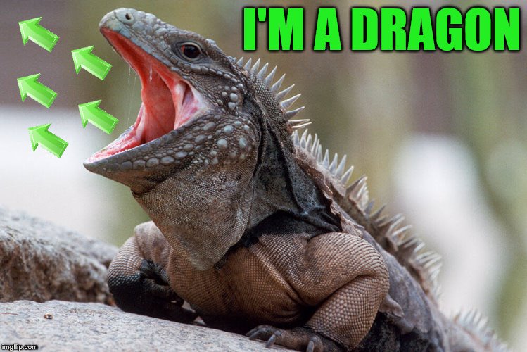 I'M A DRAGON | made w/ Imgflip meme maker
