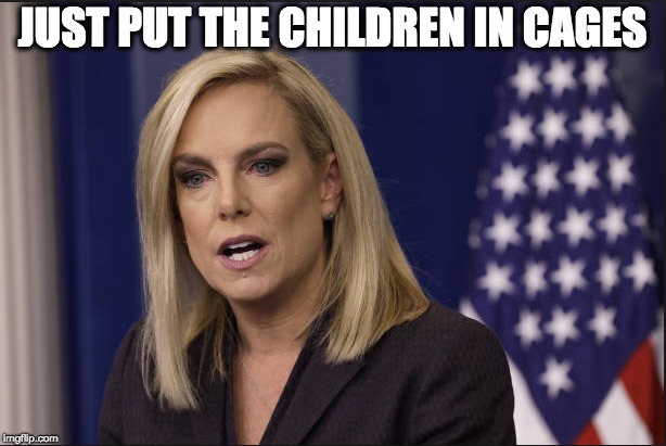 JUST PUT THE CHILDREN IN CAGES | image tagged in memes | made w/ Imgflip meme maker