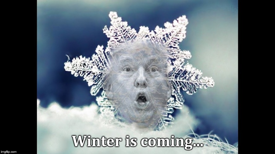 Trump flake | Winter is coming... | image tagged in trump flake | made w/ Imgflip meme maker