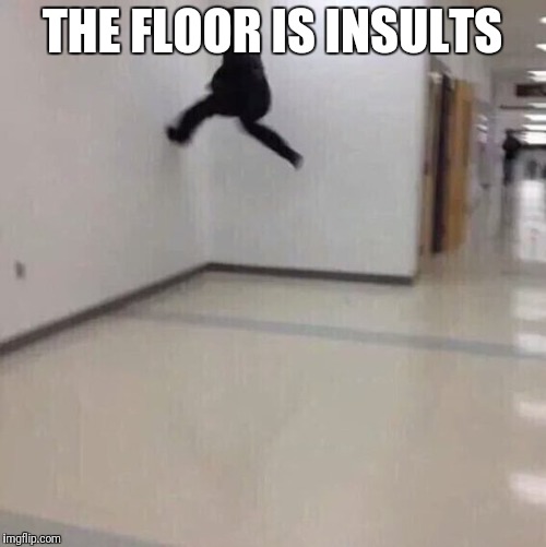 Floor is lava | THE FLOOR IS INSULTS | image tagged in floor is lava,memes,meme,insults | made w/ Imgflip meme maker