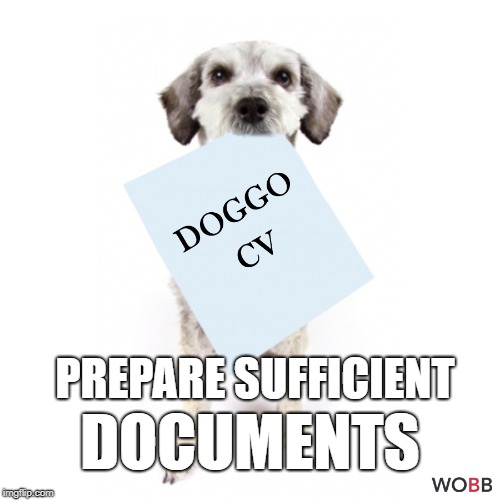How to pass your job interview | DOCUMENTS; PREPARE SUFFICIENT | image tagged in doggo,job interview | made w/ Imgflip meme maker