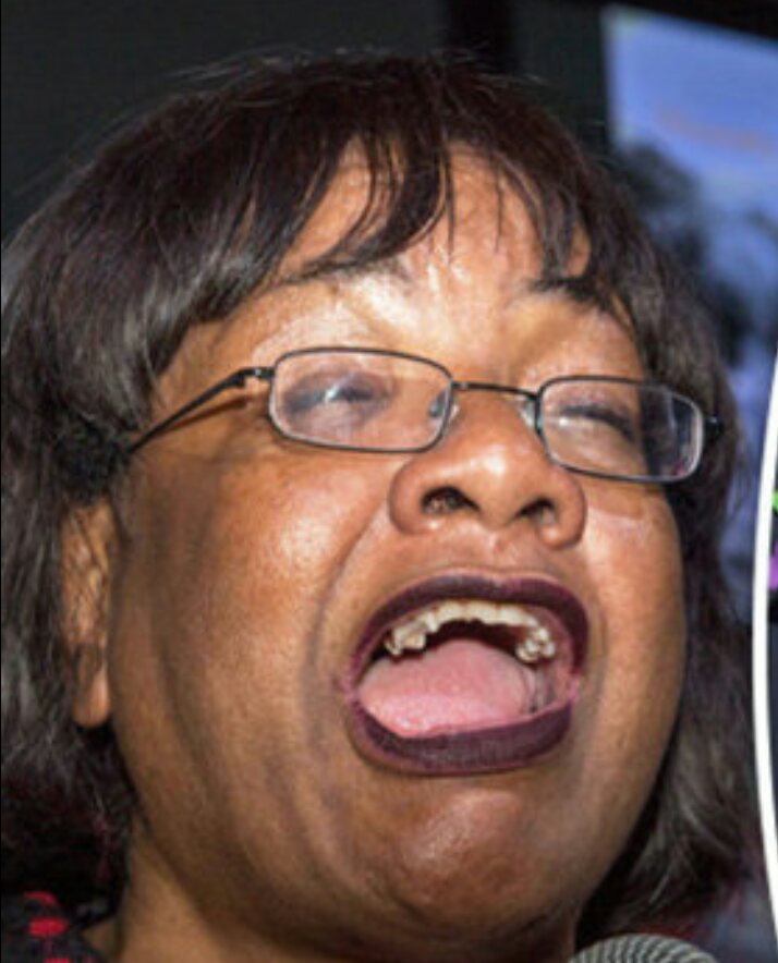 Diane Abbott Blank Meme Template