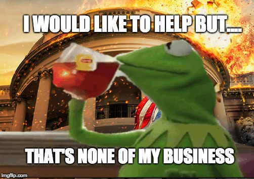 Unhelpfull Kirmit | I WOULD LIKE TO HELP BUT.... THAT'S NONE OF MY BUSINESS | image tagged in kirmit da frog,white house,destruction | made w/ Imgflip meme maker
