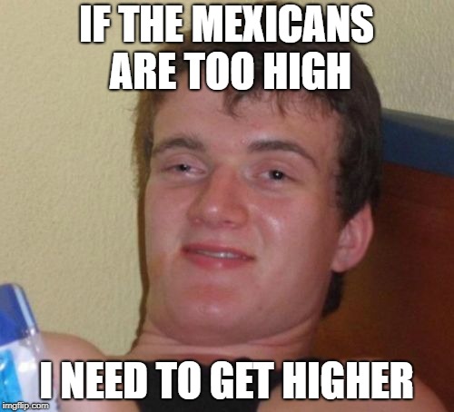 IF THE MEXICANS ARE TOO HIGH I NEED TO GET HIGHER | made w/ Imgflip meme maker