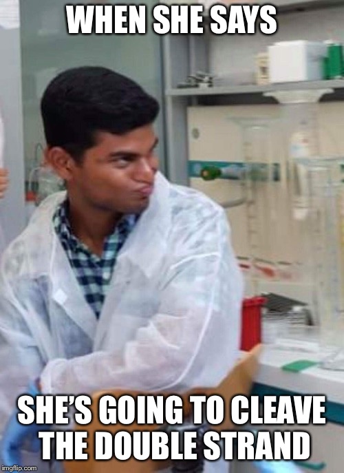 Research Lab Meme | WHEN SHE SAYS; SHE’S GOING TO CLEAVE THE DOUBLE STRAND | image tagged in science,genetics,funny,research,dna | made w/ Imgflip meme maker