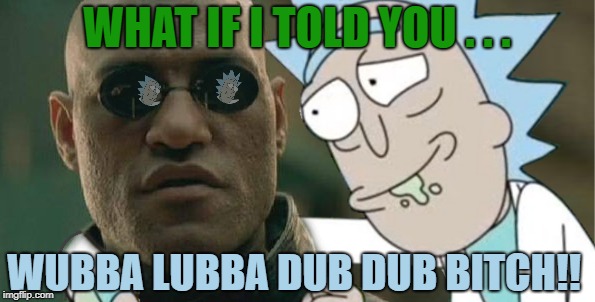 WHAT IF I TOLD YOU . . . WUBBA LUBBA DUB DUB B**CH!! | made w/ Imgflip meme maker