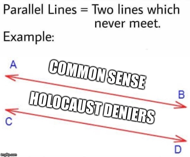 Parallel Lines | COMMON SENSE; HOLOCAUST DENIERS | image tagged in parallel lines | made w/ Imgflip meme maker