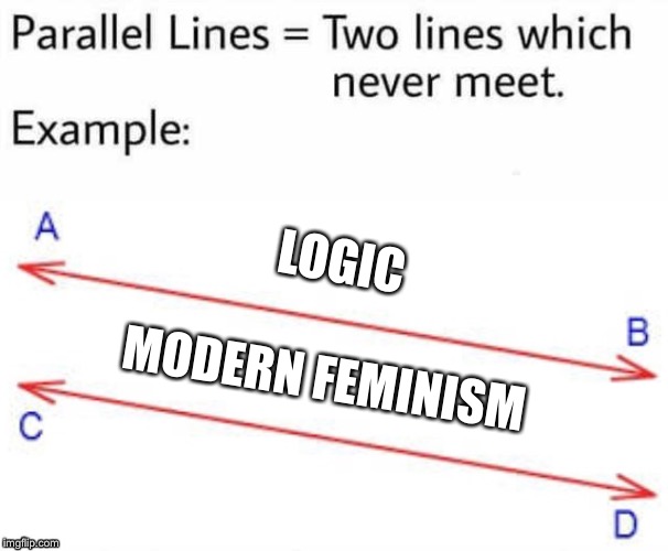 Parallel Lines |  LOGIC; MODERN FEMINISM | image tagged in parallel lines | made w/ Imgflip meme maker