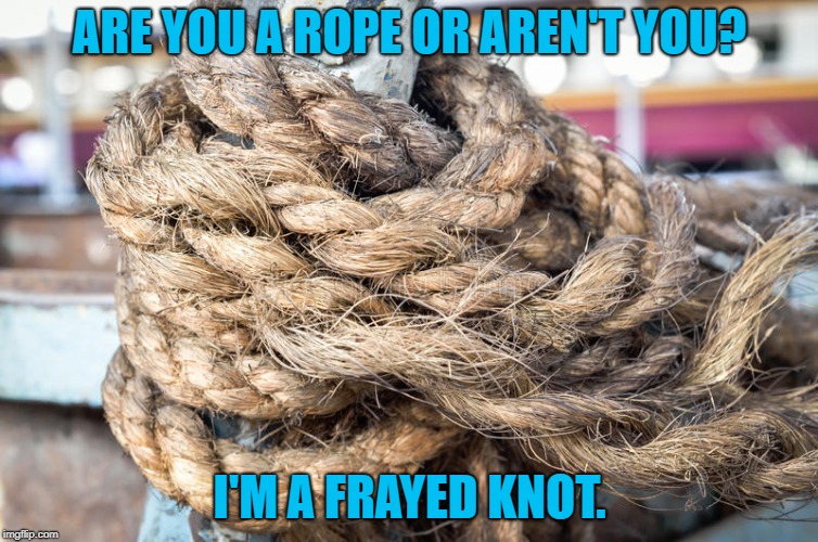 Punted | ARE YOU A ROPE OR AREN'T YOU? I'M A FRAYED KNOT. | image tagged in memes,joke,bad pun,general suckage | made w/ Imgflip meme maker
